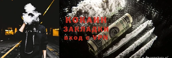 сатива Осинники