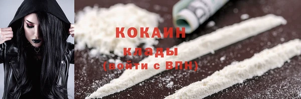 сатива Осташков