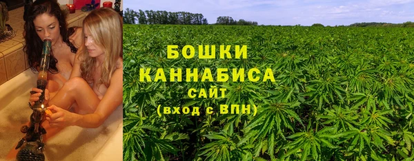 сатива Осташков