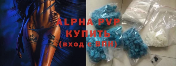 сатива Осинники