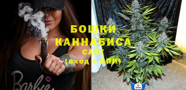 сатива Осинники
