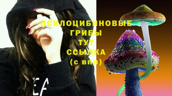 сатива Осинники