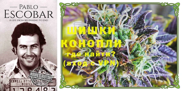 дурь Пестово