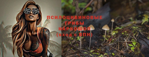 сатива Переславль-Залесский