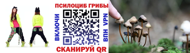 Псилоцибиновые грибы GOLDEN TEACHER  что такое   Аткарск 